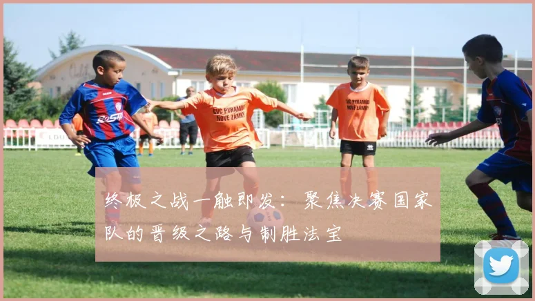 终极之战一触即发：聚焦决赛国家队的晋级之路与制胜法宝