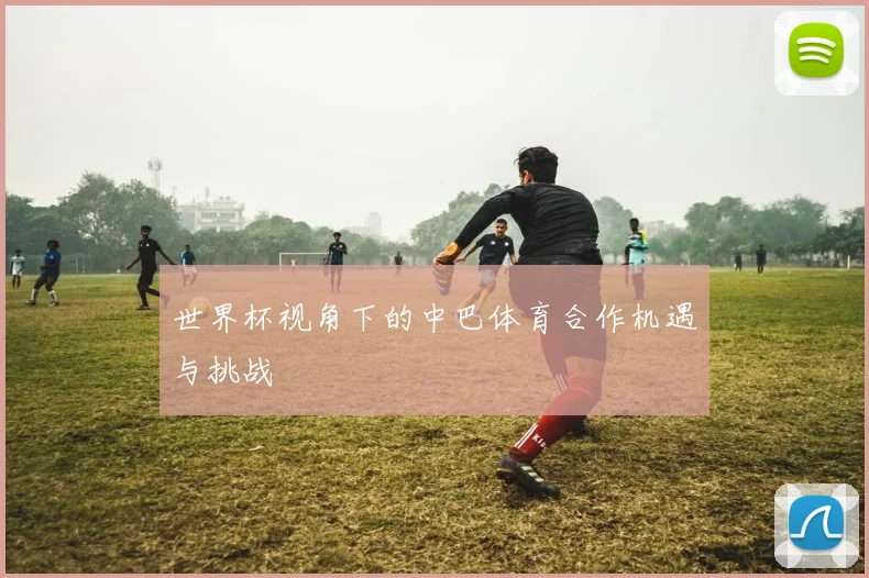 世界杯视角下的中巴体育合作机遇与挑战