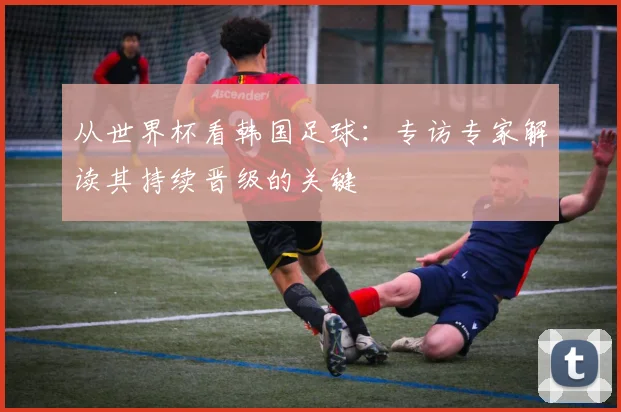 从世界杯看韩国足球：专访专家解读其持续晋级的关键