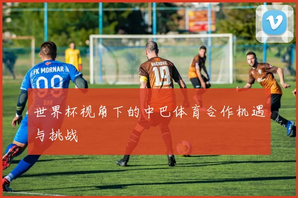 世界杯视角下的中巴体育合作机遇与挑战