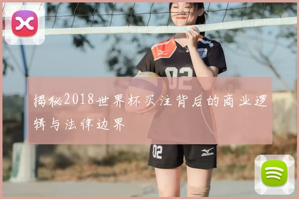揭秘2018世界杯买注背后的商业逻辑与法律边界