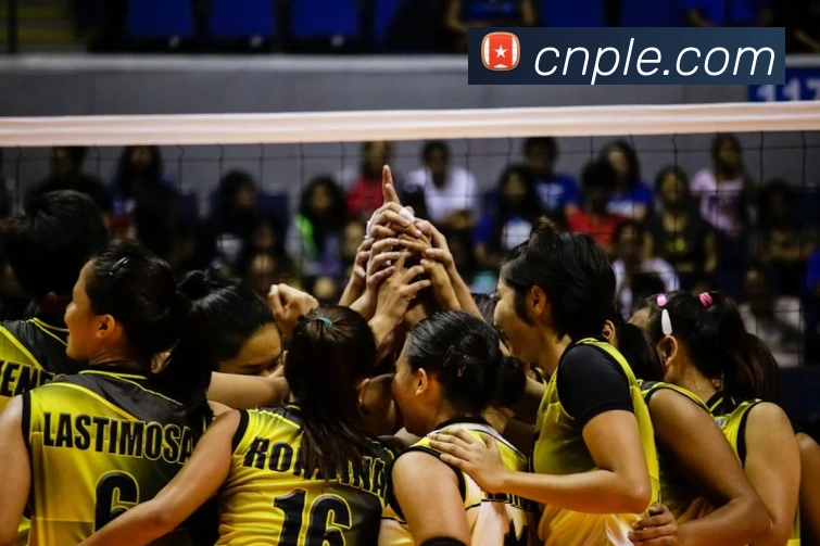 pg国际下载官网平台生态图